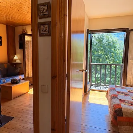 Ambiente Calido Y Acogedor -rincon Rustico - Falco 17 Apartment *